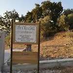 The Olive Hill 4*