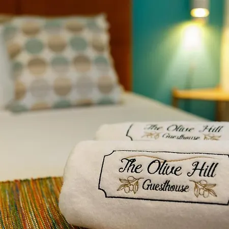 Alojamento de Acomodação e Pequeno-almoço The Olive Hill Batalha