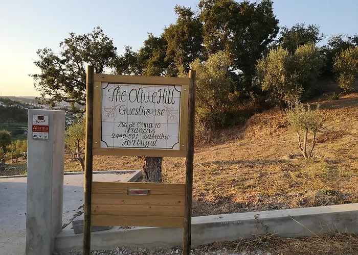 The Olive Hill 4*